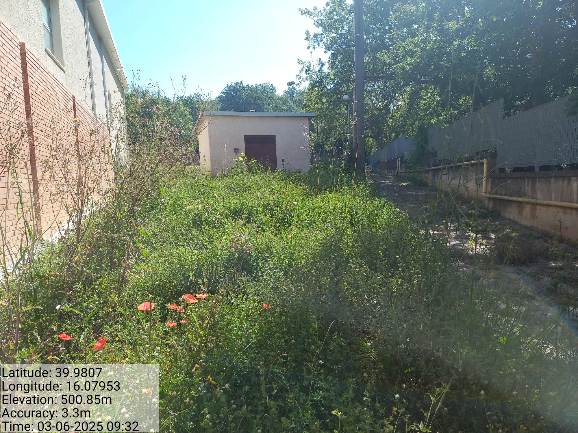 Galleria Fotografica Immagine