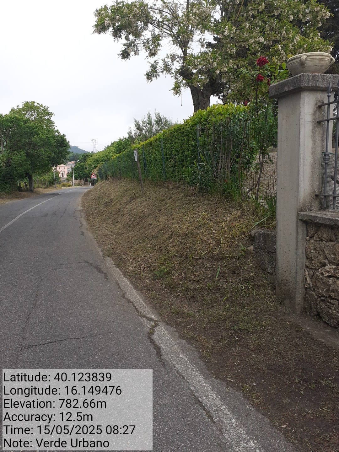 Galleria Fotografica Immagine