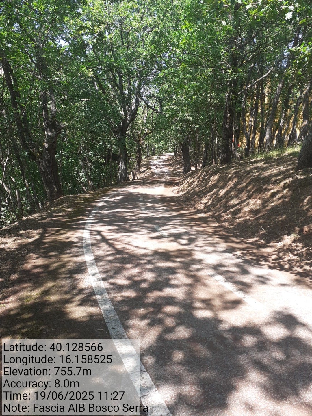 Galleria Fotografica Immagine