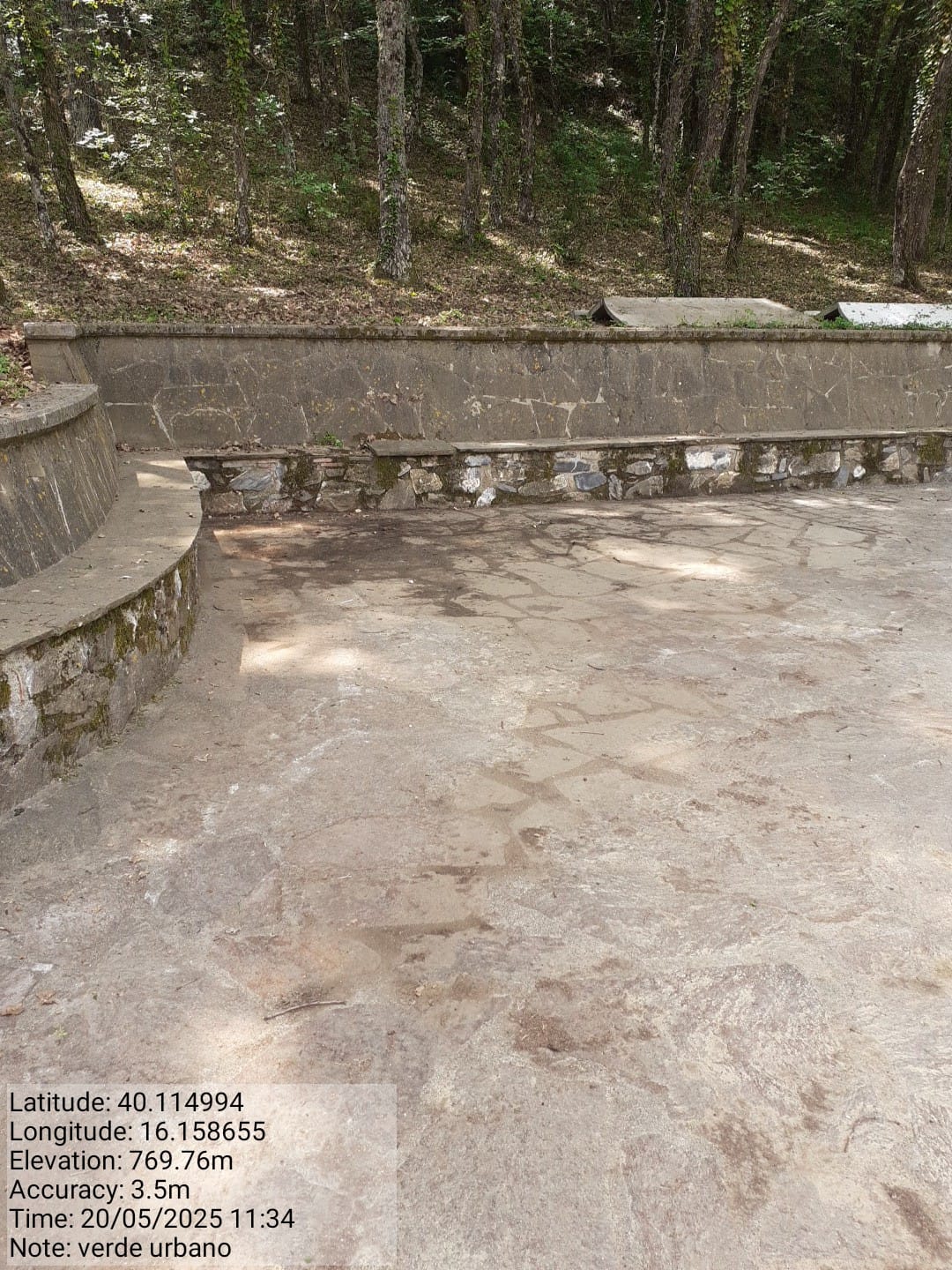 Galleria Fotografica Immagine