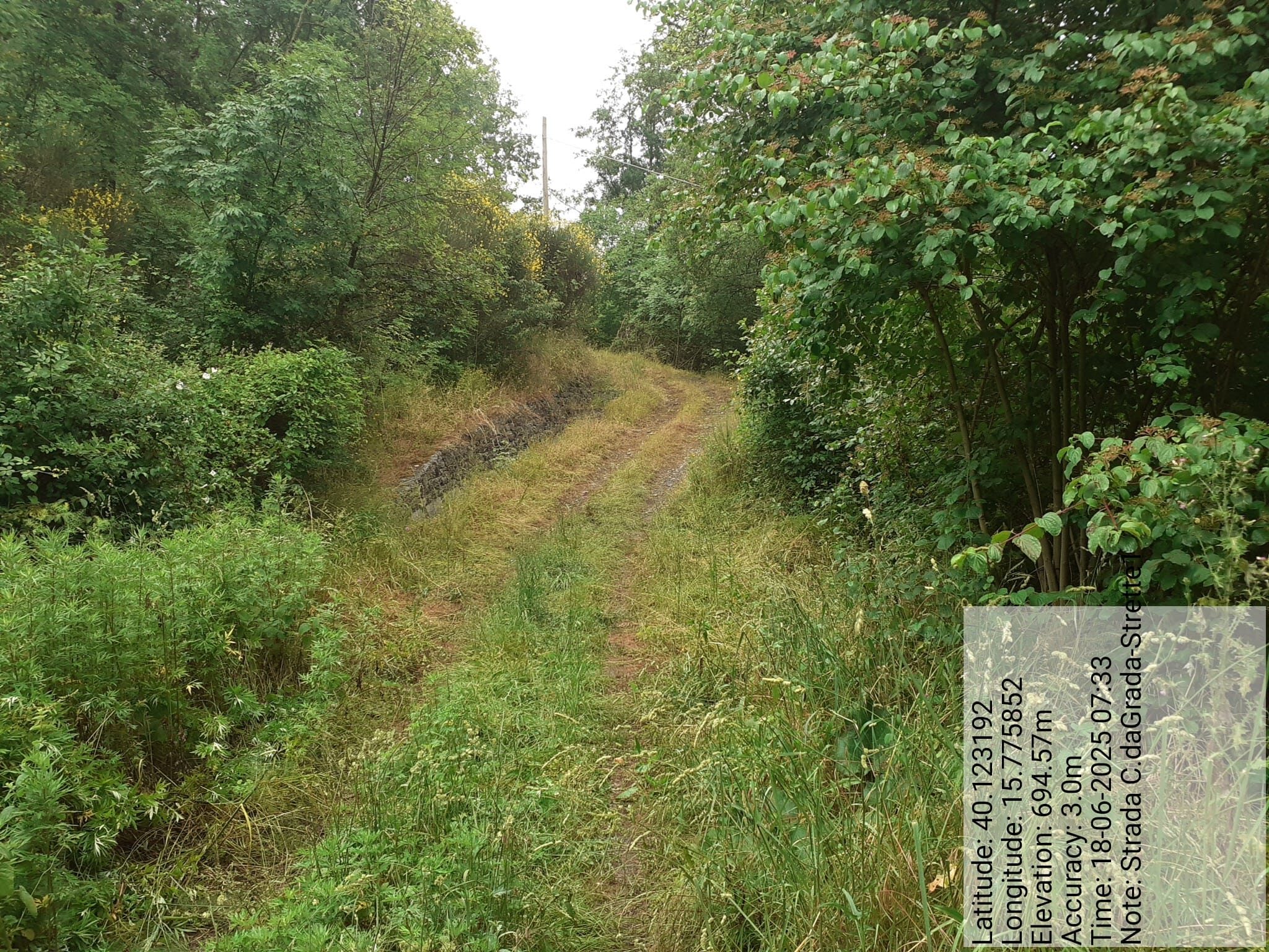 Galleria Fotografica Immagine