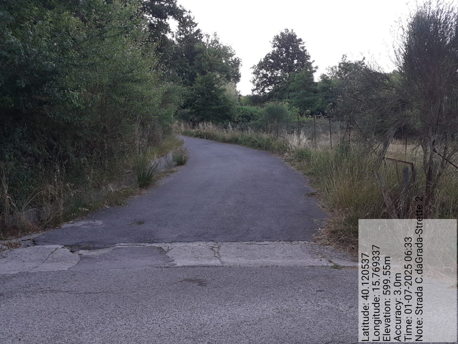 Galleria Fotografica Immagine