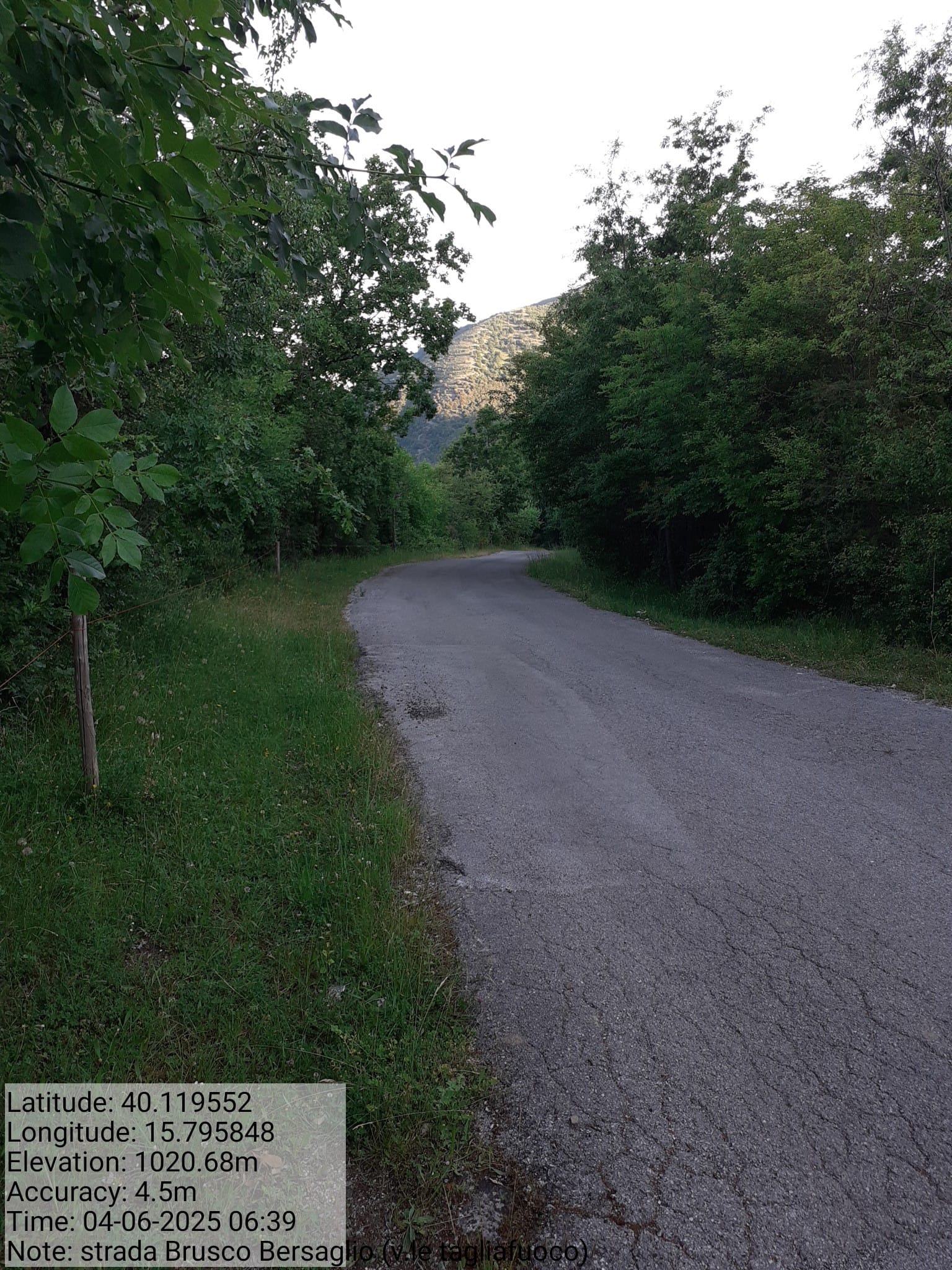 Galleria Fotografica Immagine