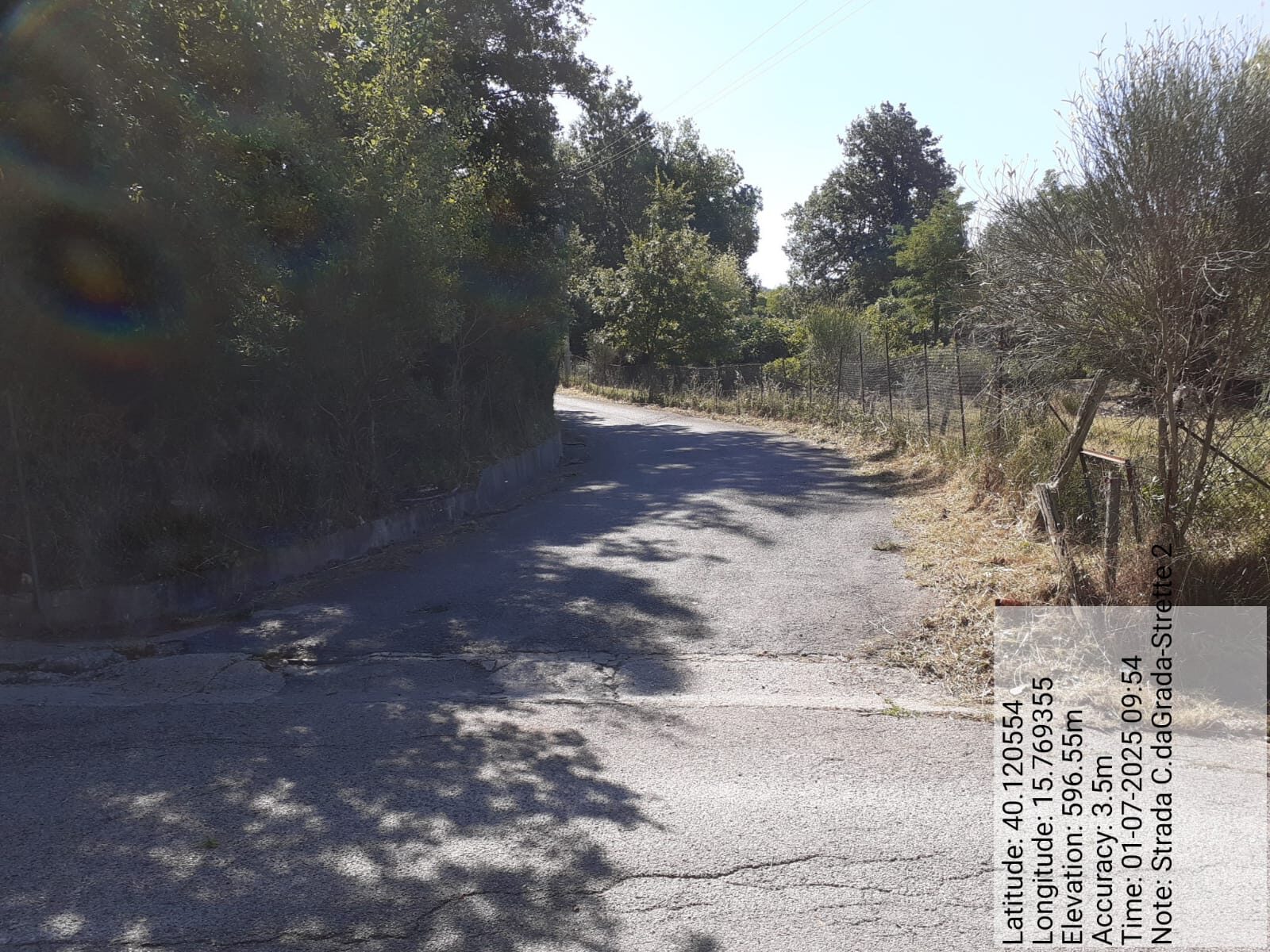 Galleria Fotografica Immagine