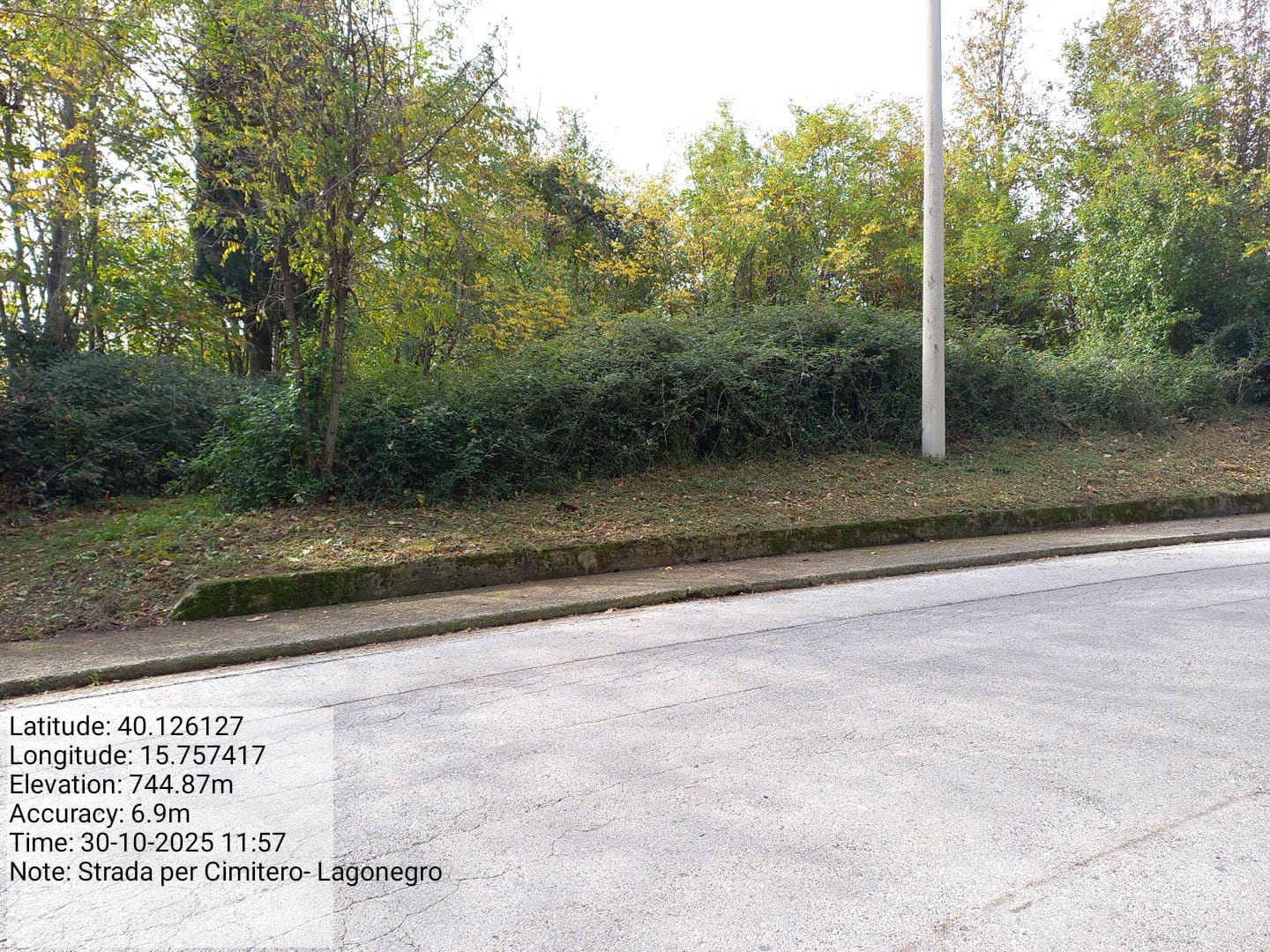 Galleria Fotografica Immagine