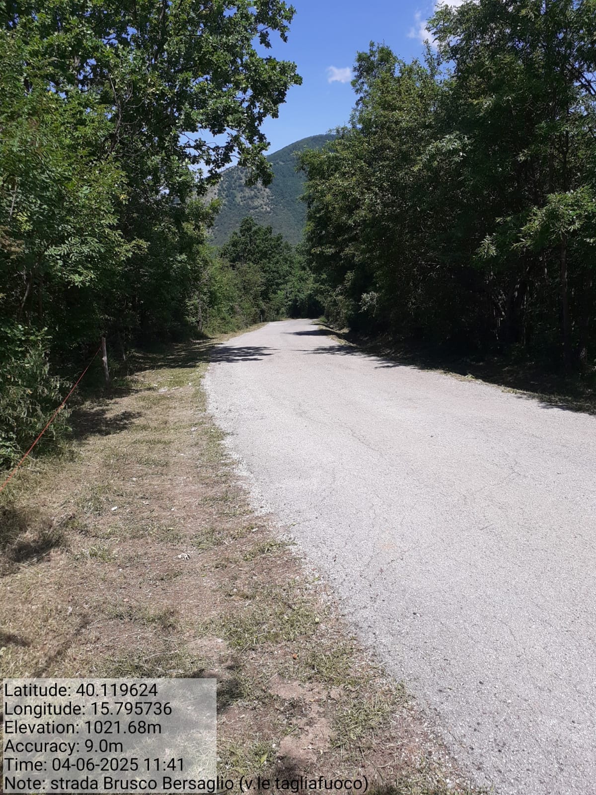 Galleria Fotografica Immagine