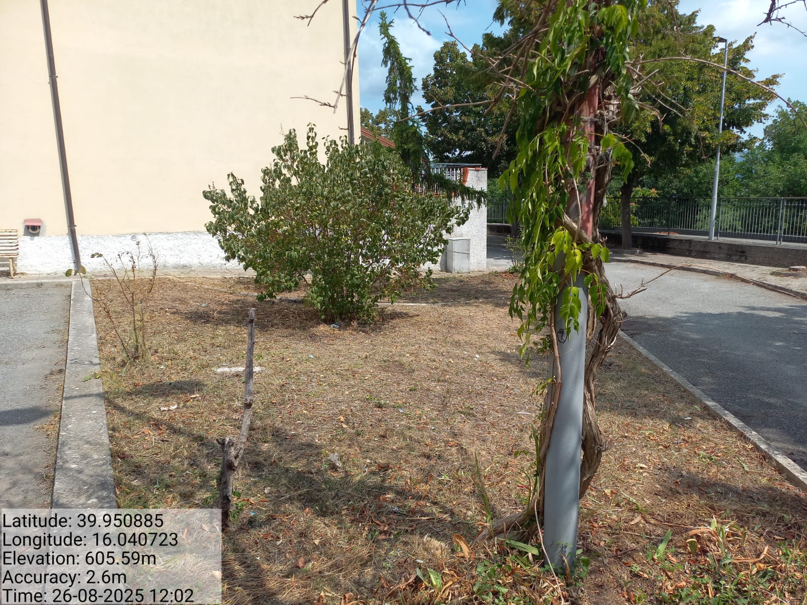 Galleria Fotografica Immagine