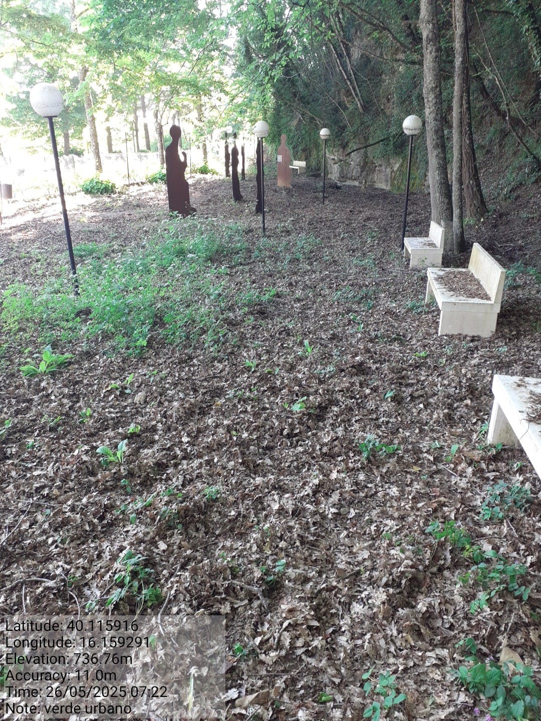 Galleria Fotografica Immagine