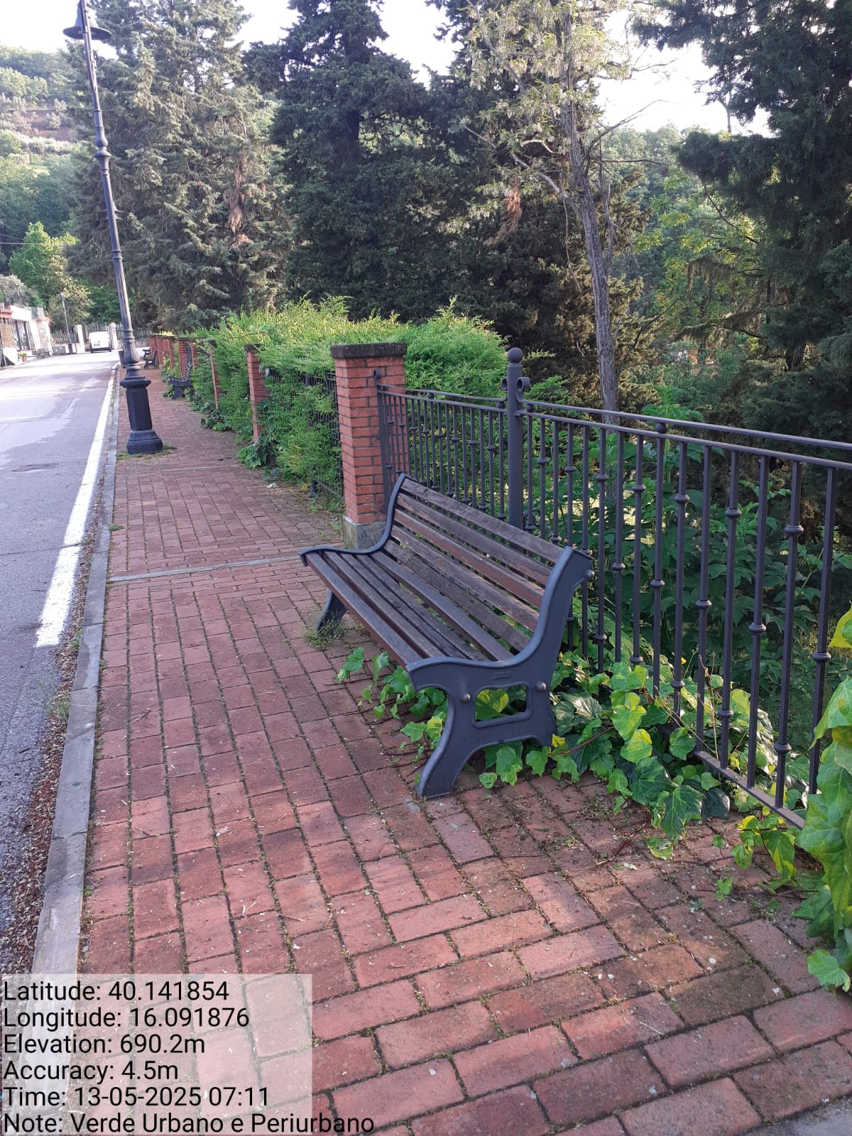 Galleria Fotografica Immagine