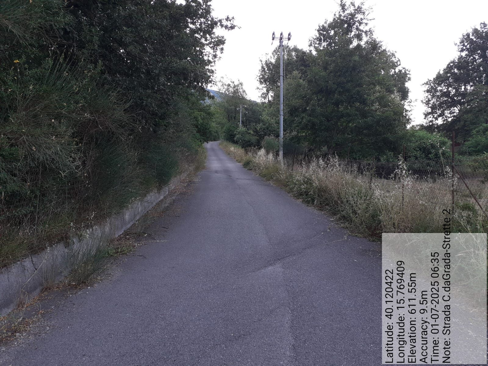 Galleria Fotografica Immagine