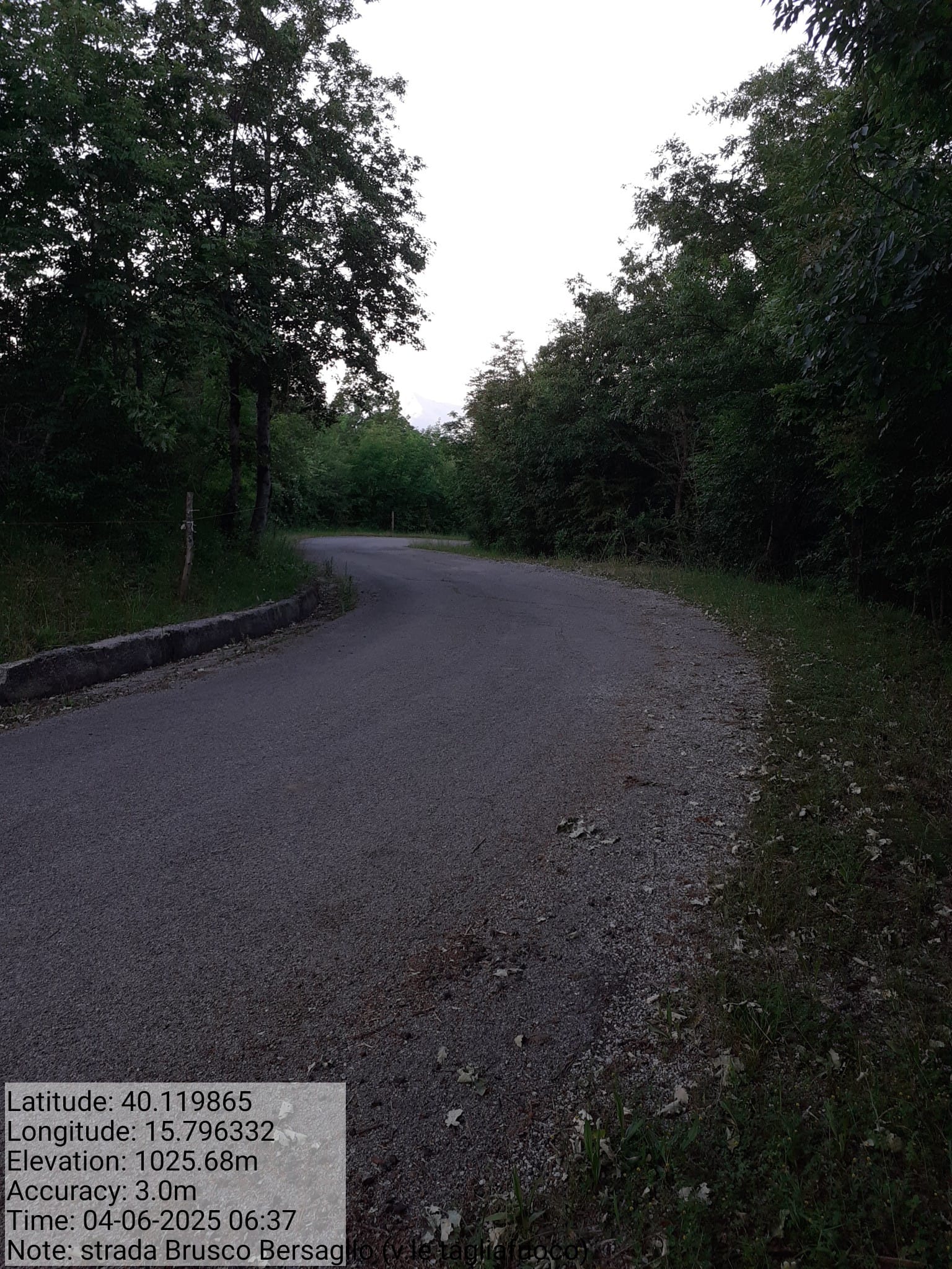 Galleria Fotografica Immagine