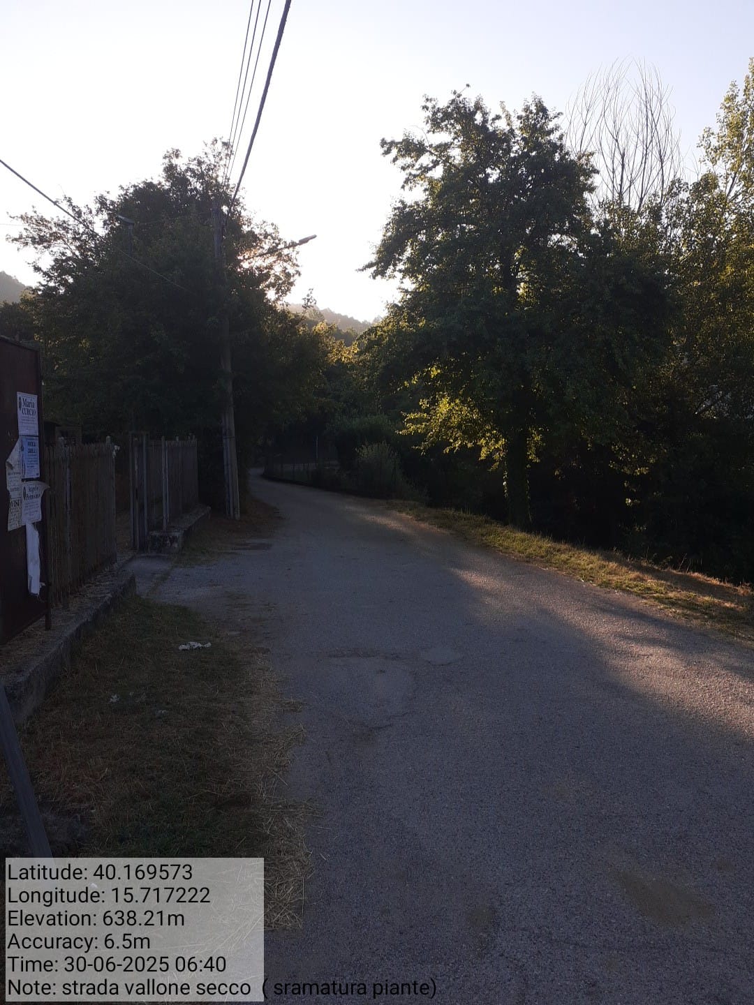 Galleria Fotografica Immagine