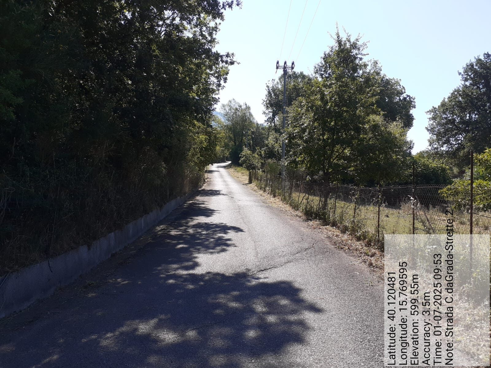 Galleria Fotografica Immagine