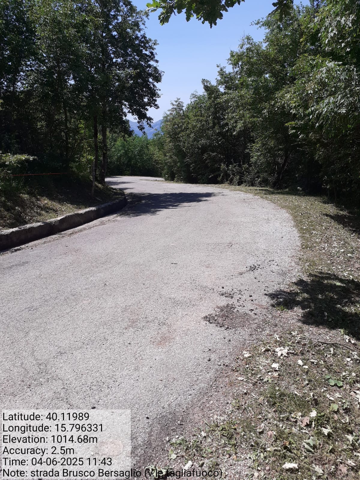 Galleria Fotografica Immagine