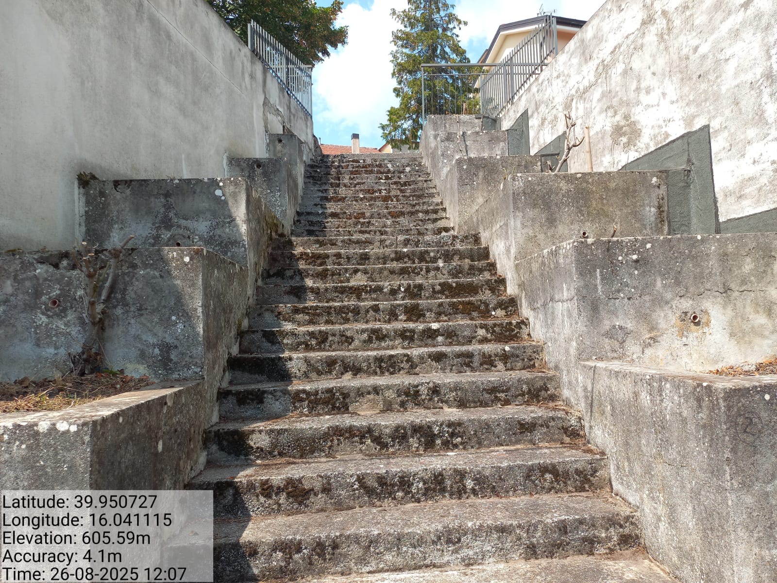 Galleria Fotografica Immagine