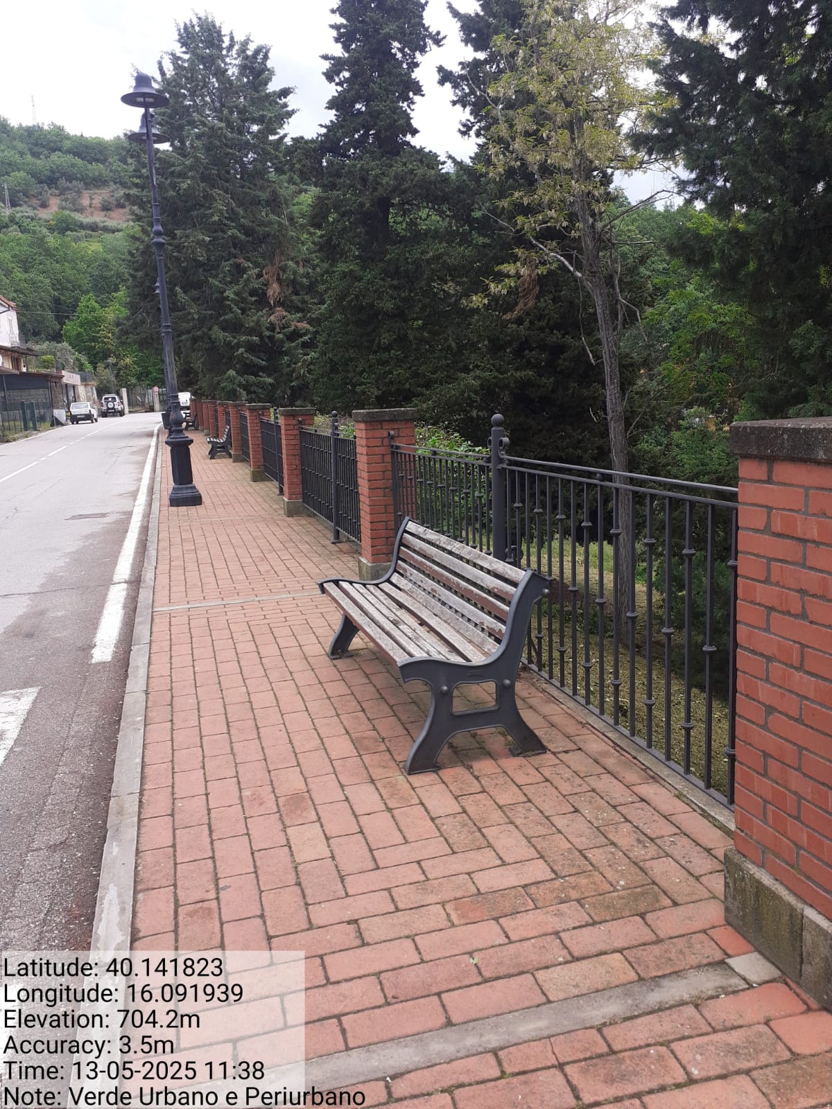 Galleria Fotografica Immagine