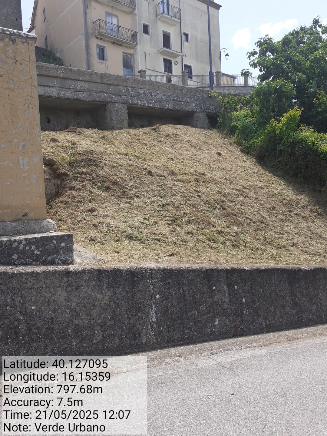 Galleria Fotografica Immagine