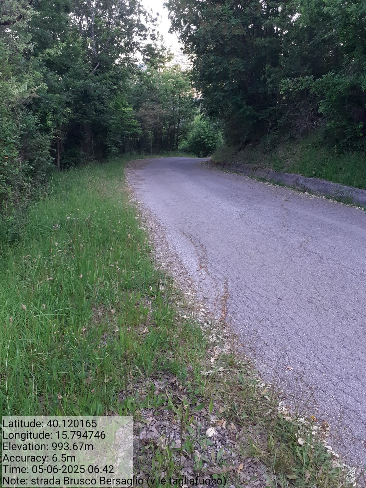 Galleria Fotografica Immagine