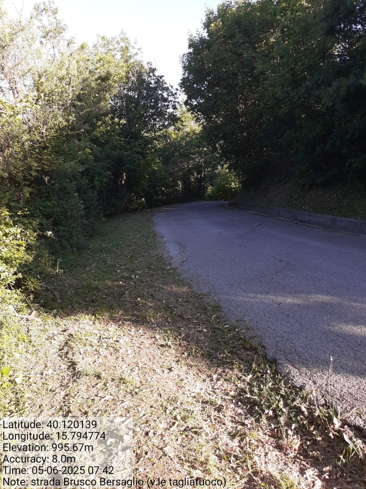 Galleria Fotografica Immagine