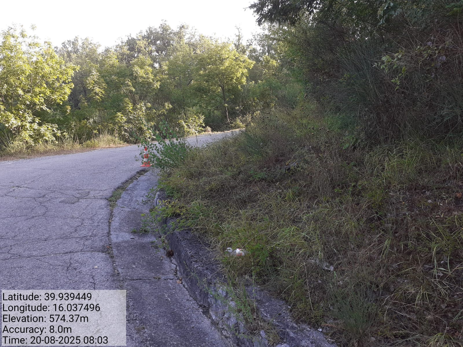 Galleria Fotografica Immagine