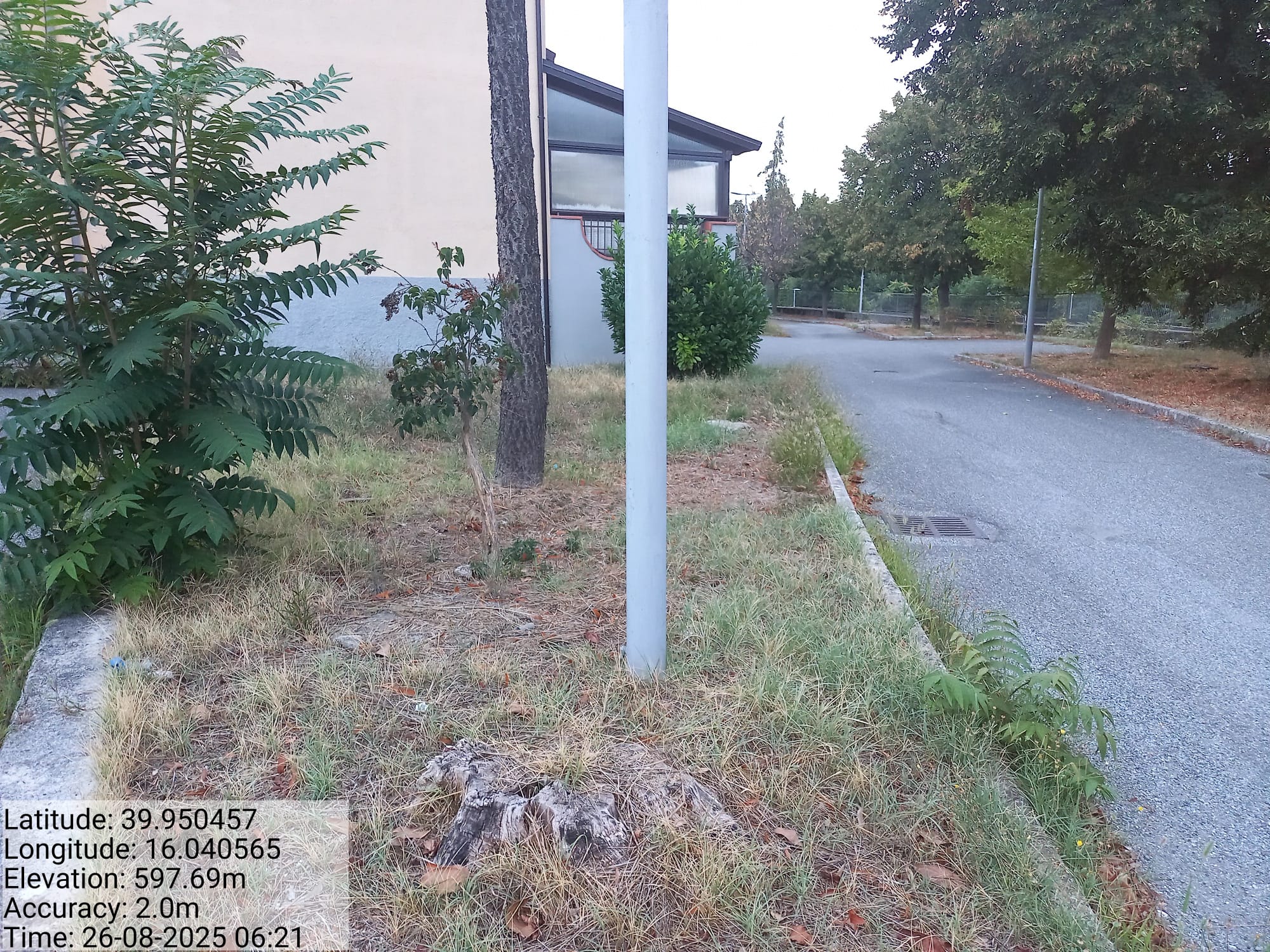 Galleria Fotografica Immagine