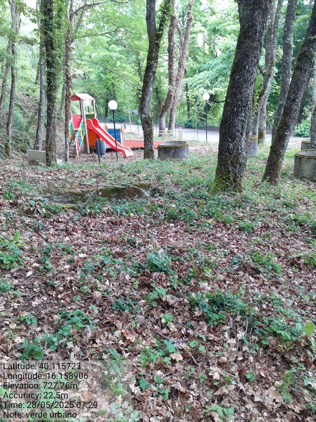 Galleria Fotografica Immagine