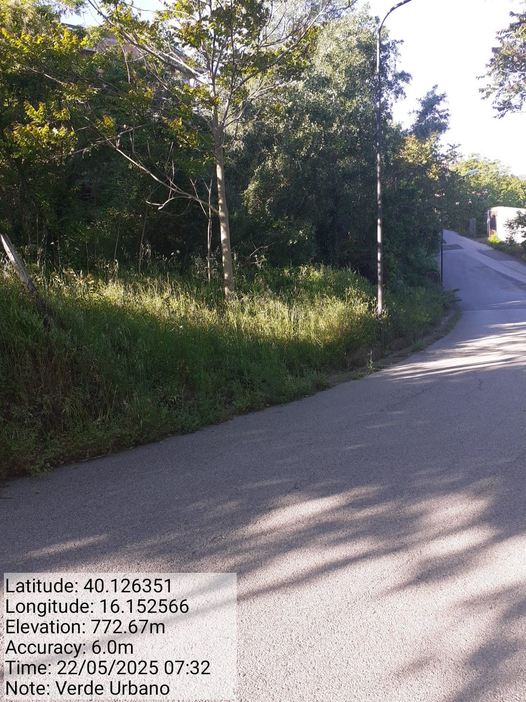 Galleria Fotografica Immagine