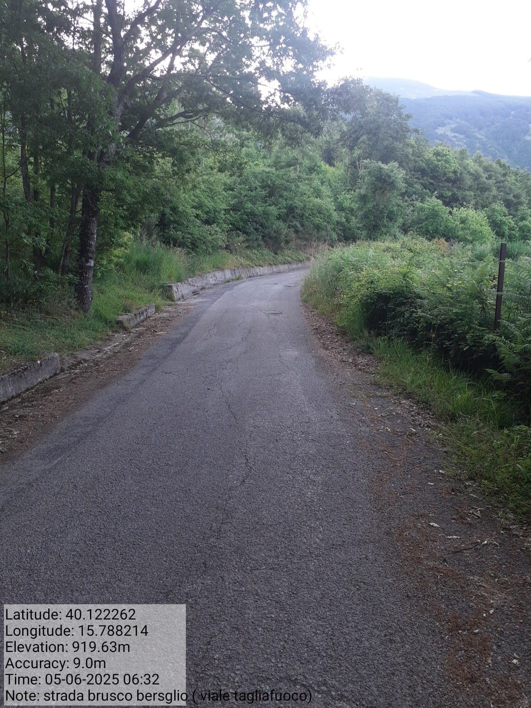 Galleria Fotografica Immagine