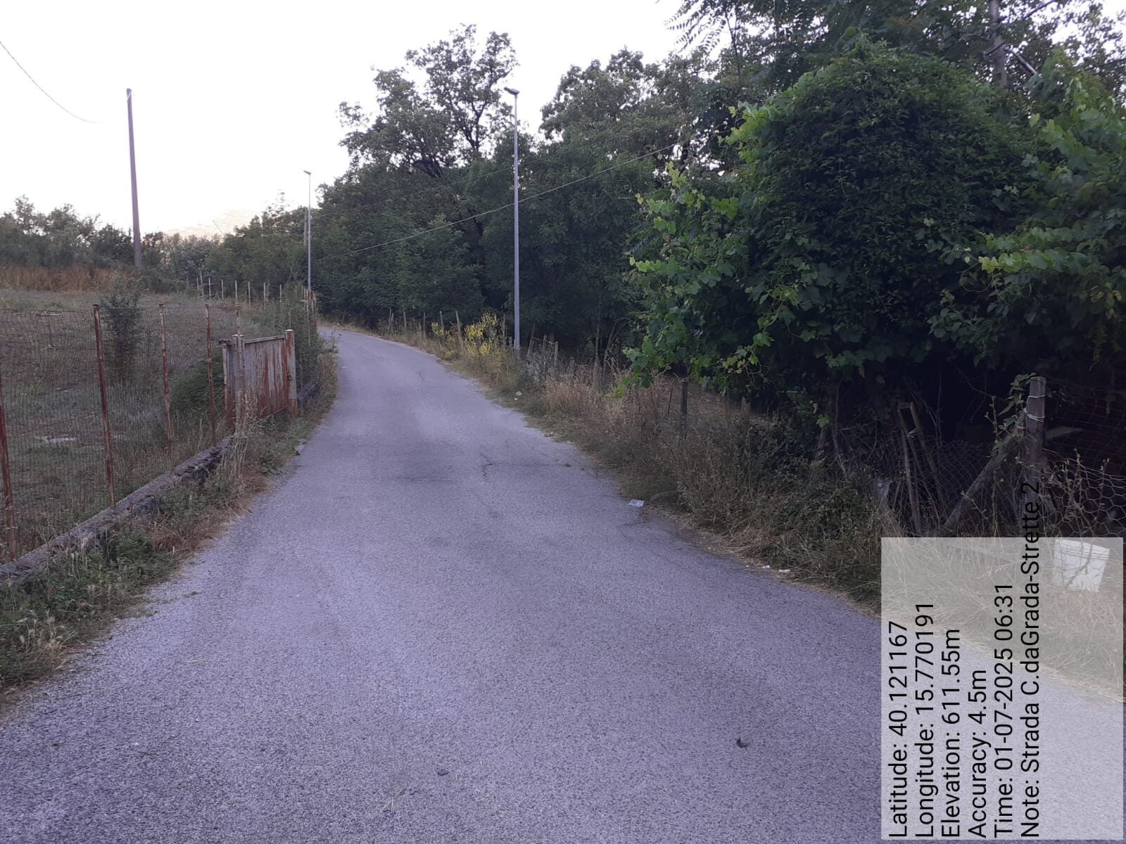 Galleria Fotografica Immagine