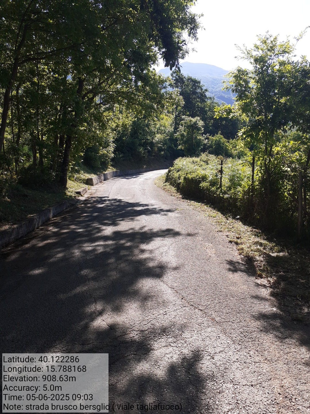 Galleria Fotografica Immagine