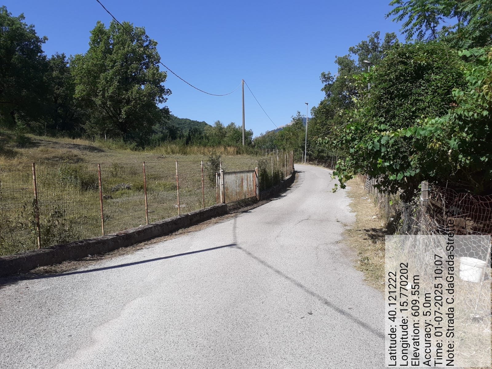 Galleria Fotografica Immagine