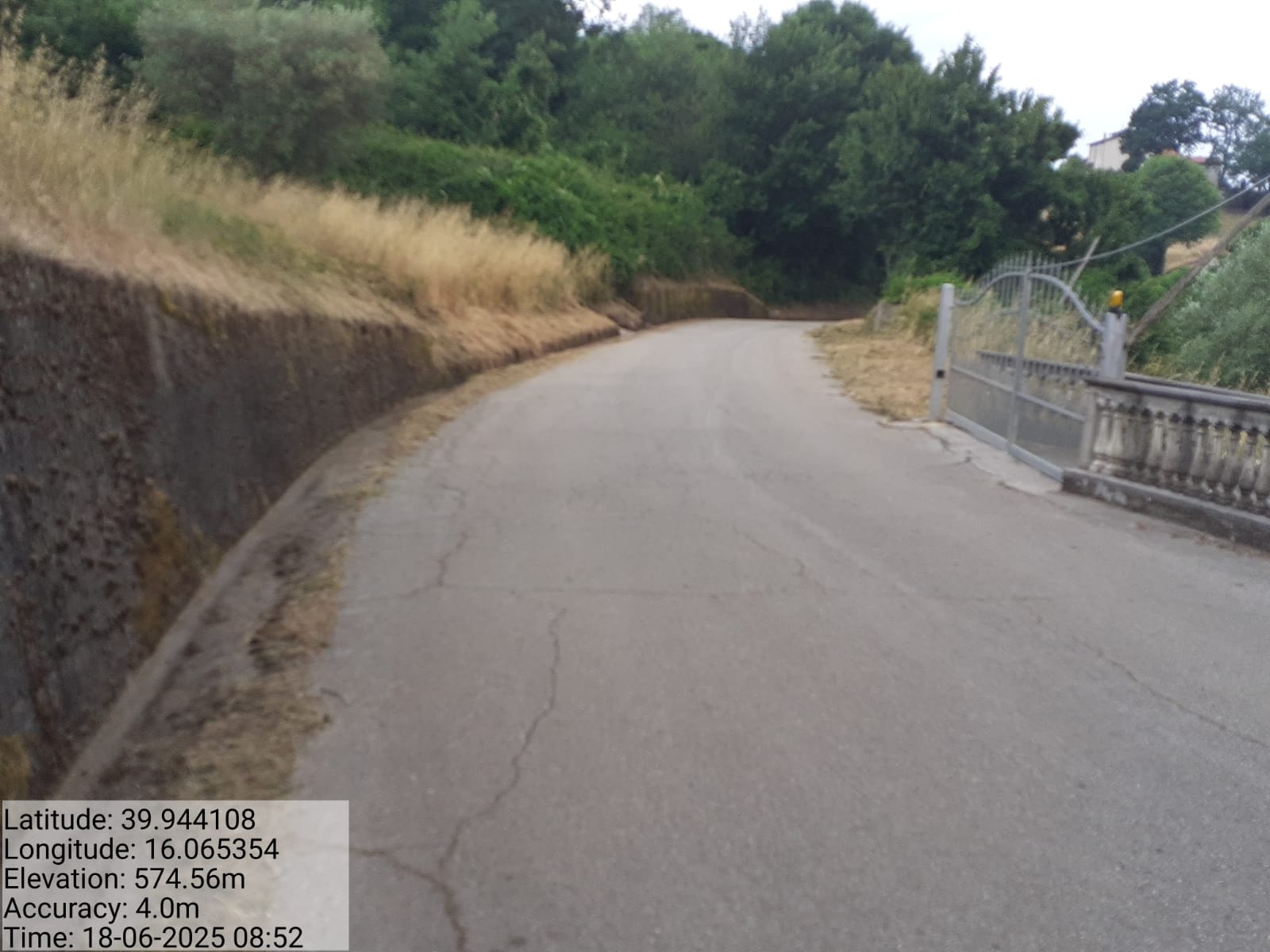 Galleria Fotografica Immagine