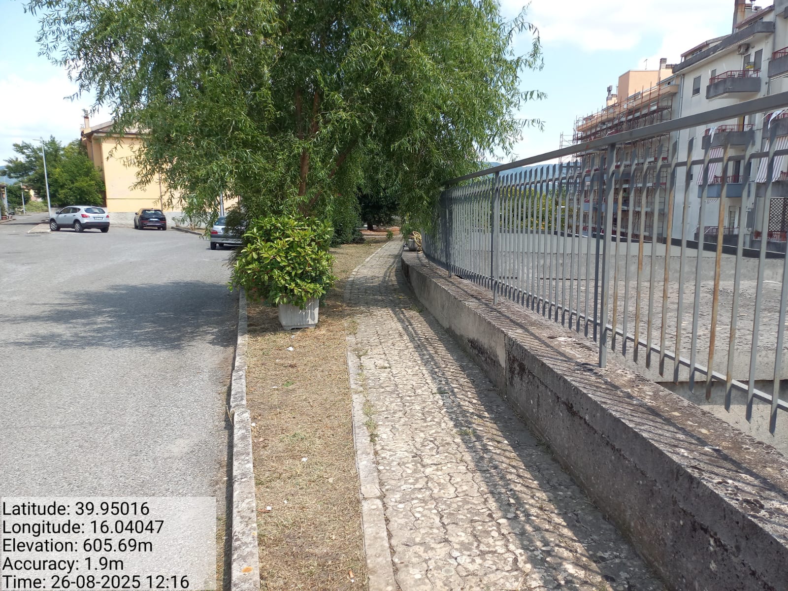 Galleria Fotografica Immagine