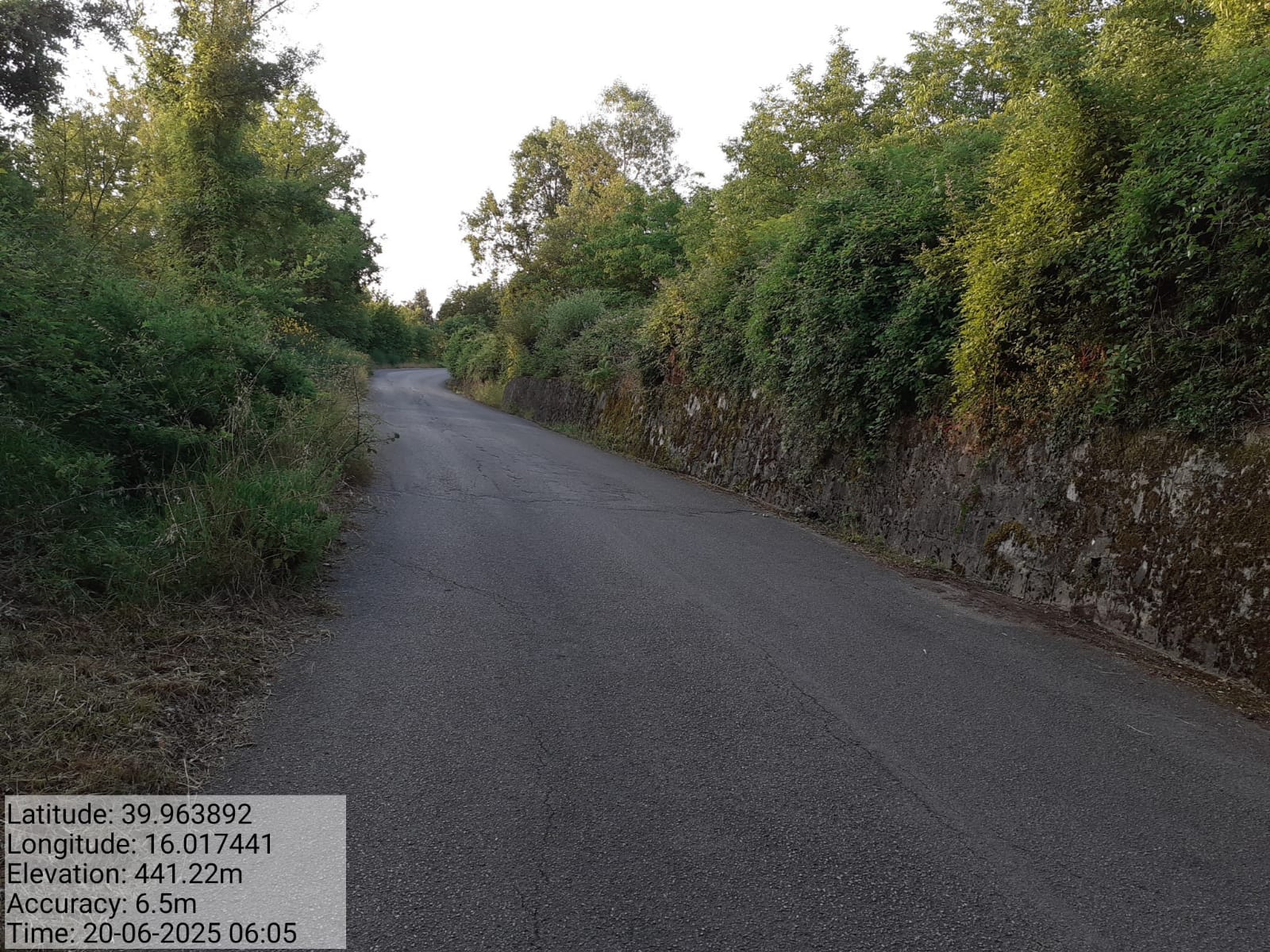 Galleria Fotografica Immagine