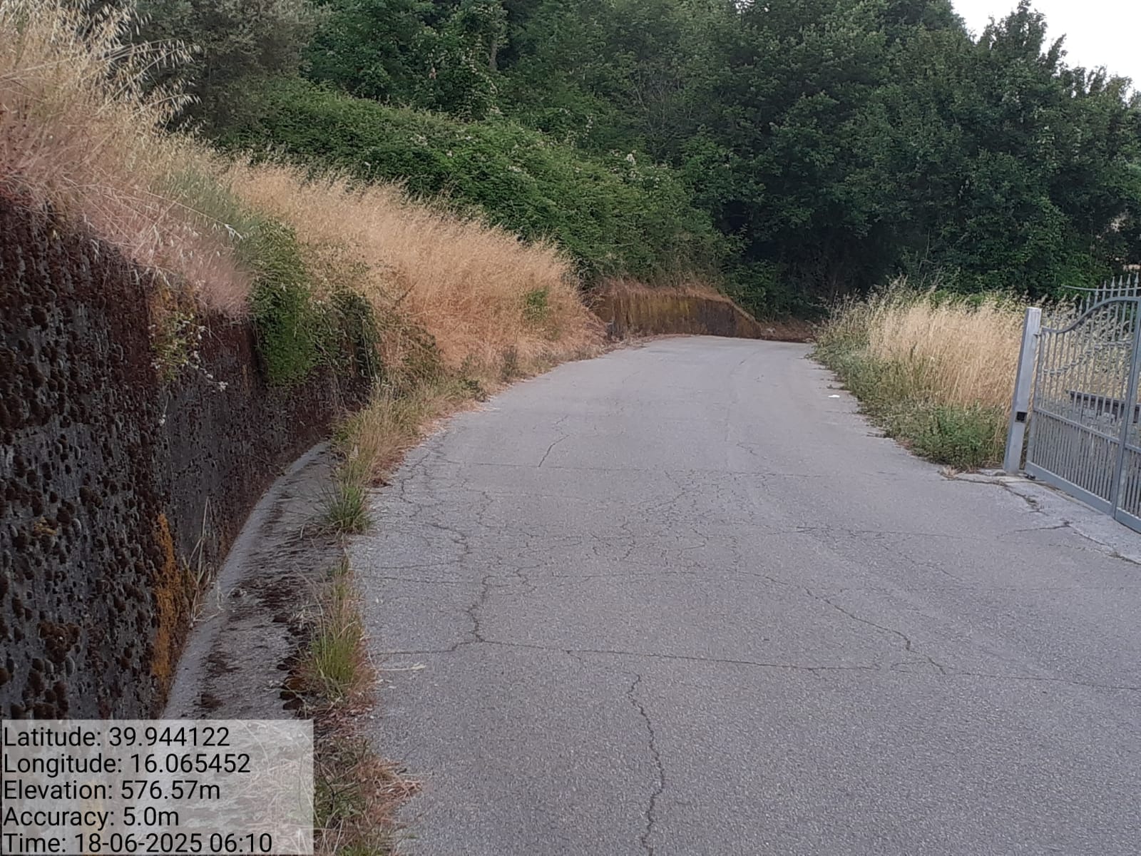 Galleria Fotografica Immagine