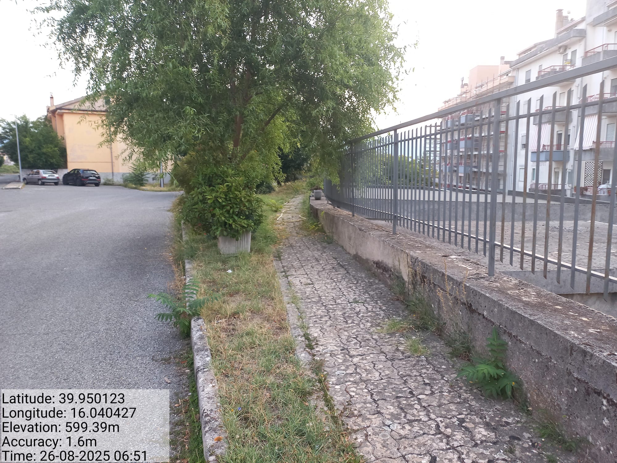 Galleria Fotografica Immagine