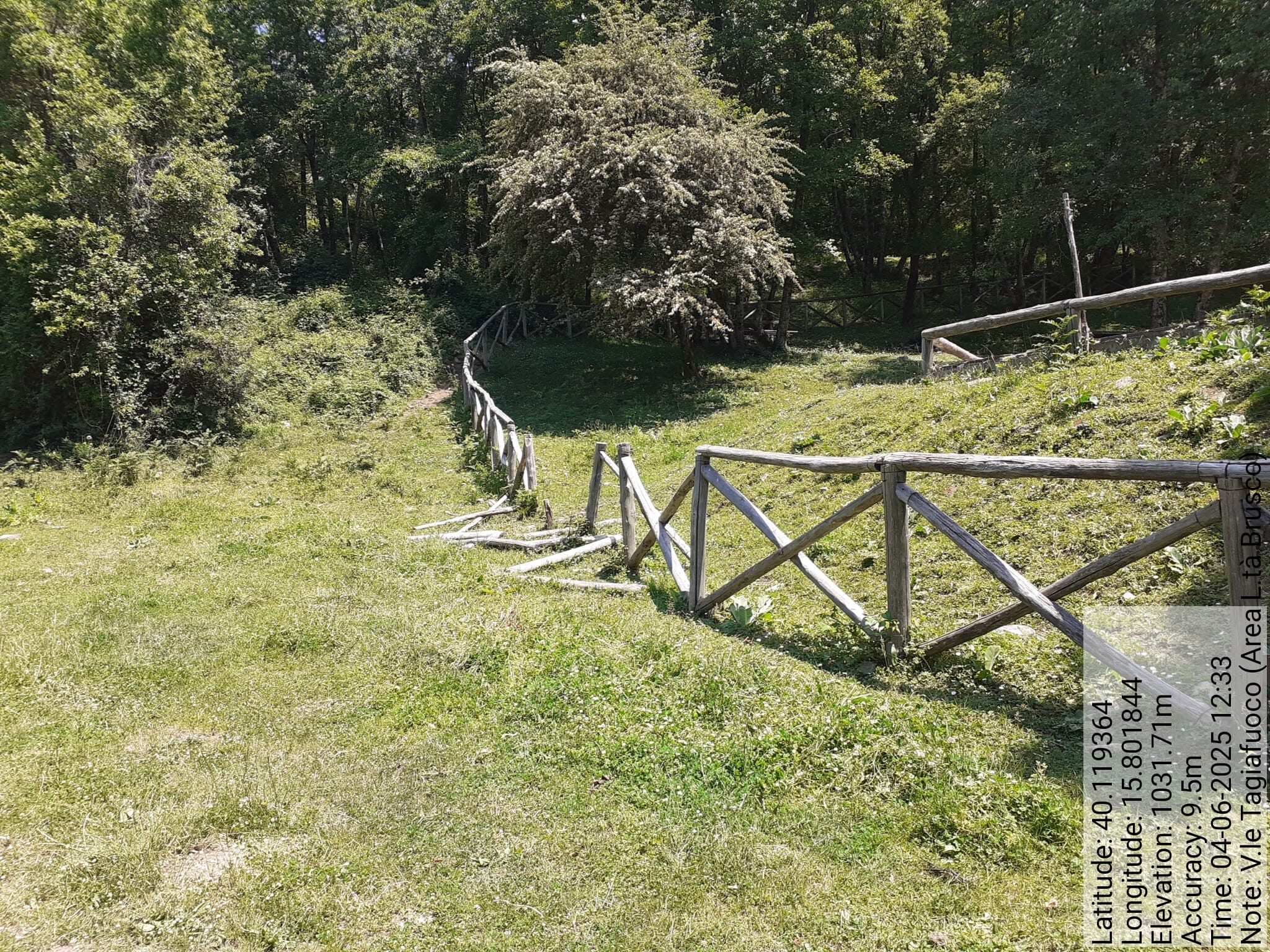 Galleria Fotografica Immagine