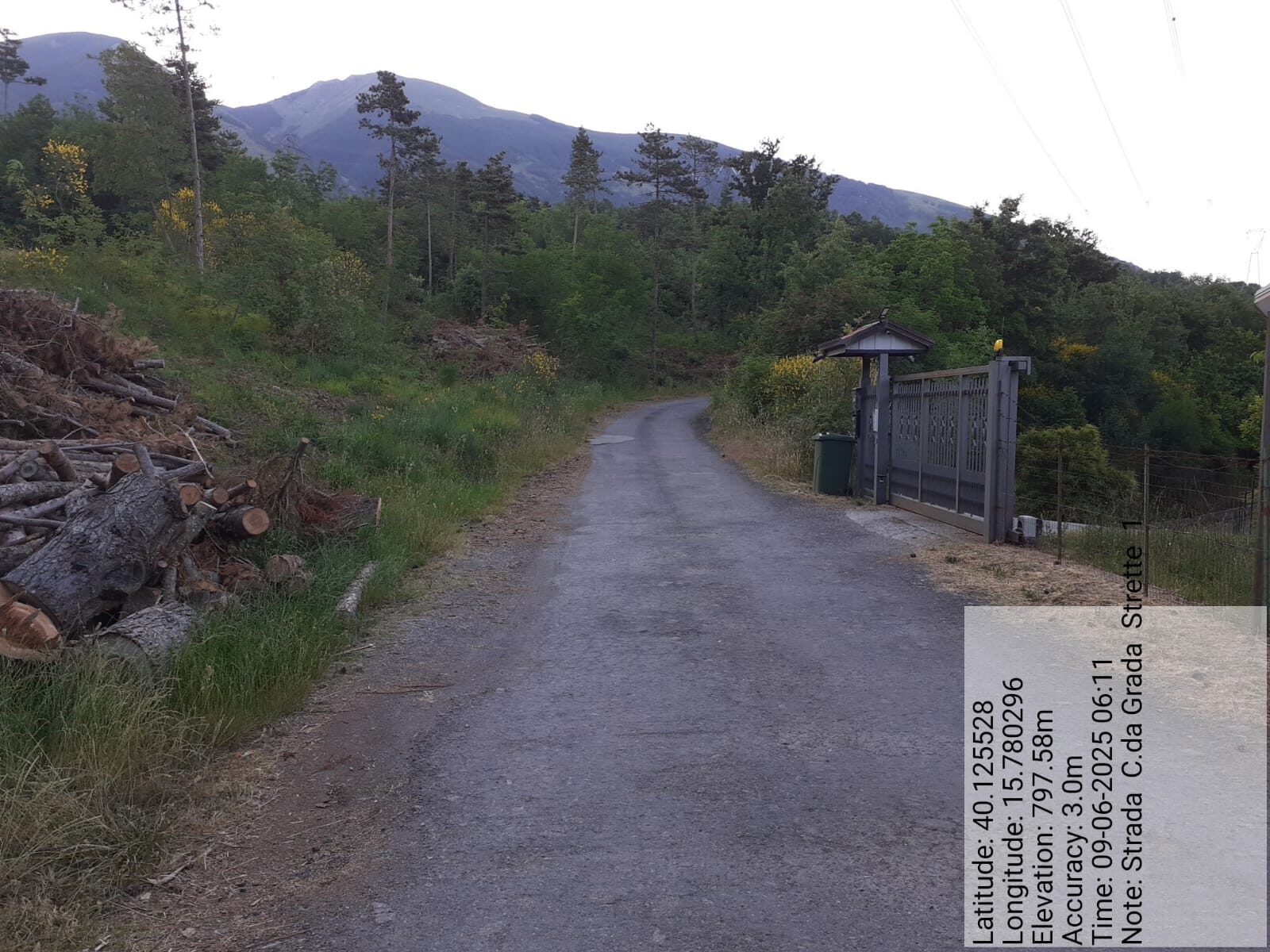 Galleria Fotografica Immagine