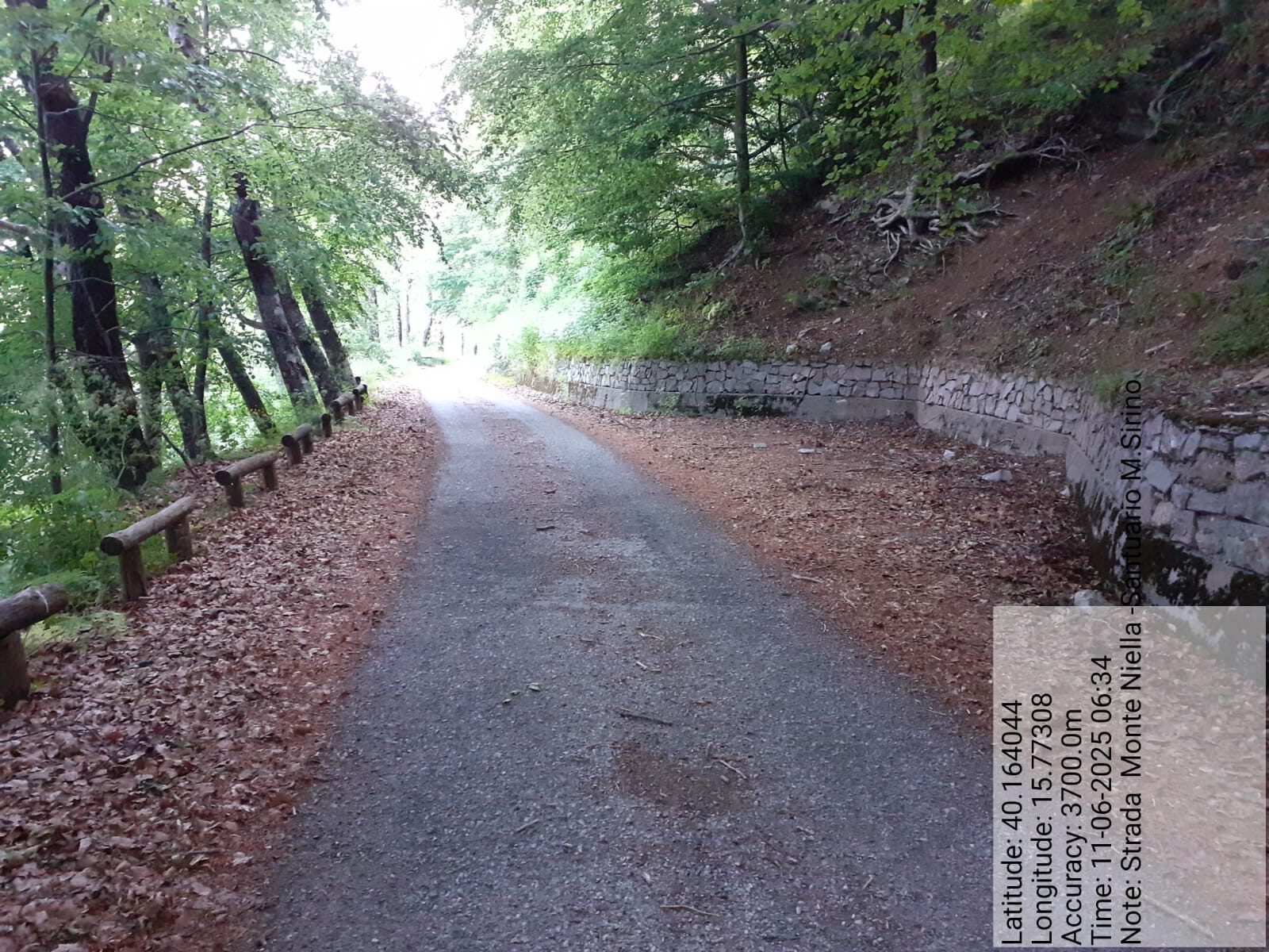 Galleria Fotografica Immagine