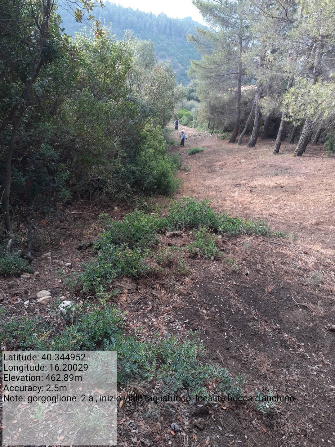 Galleria Fotografica Immagine