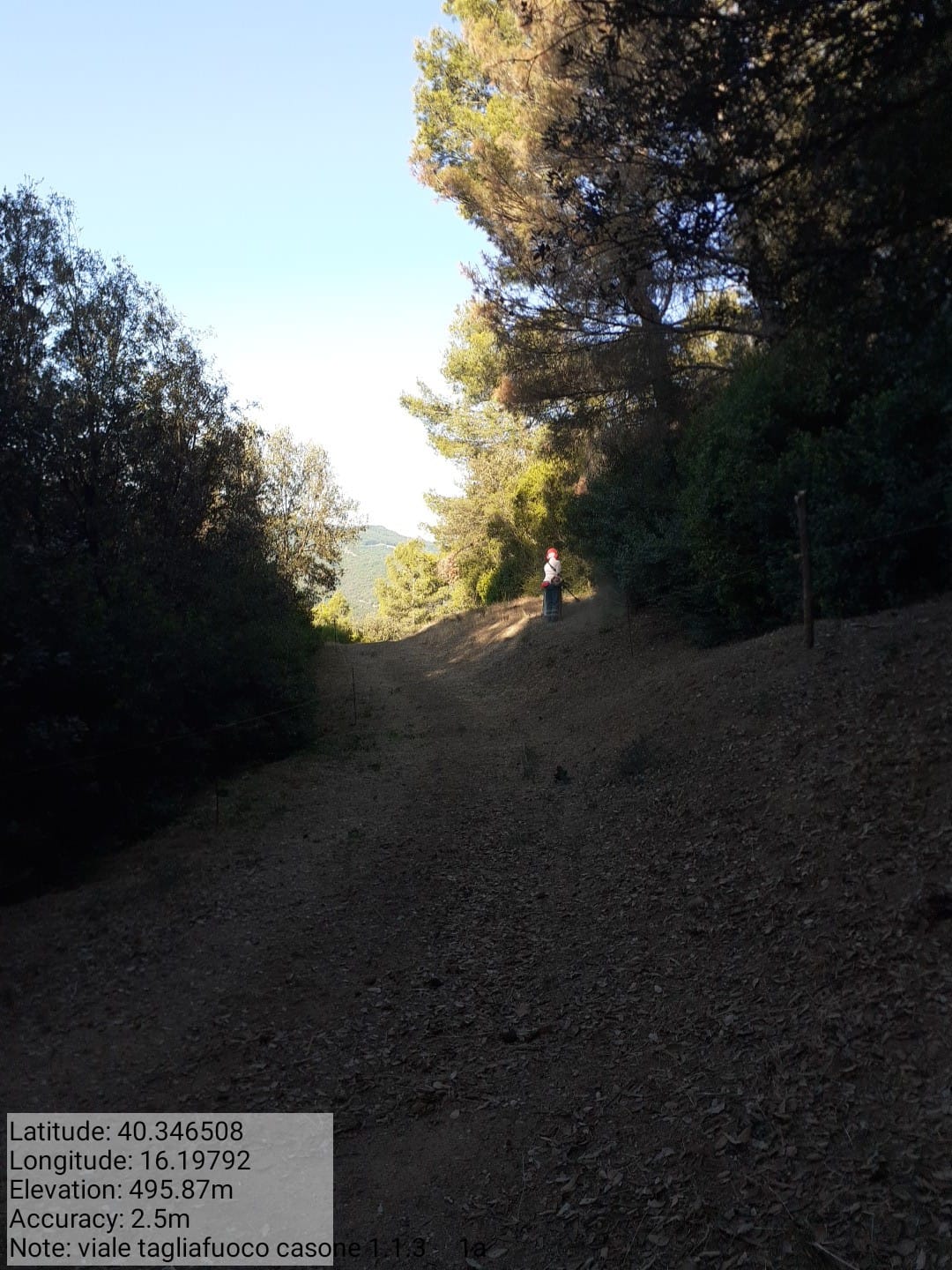 Galleria Fotografica Immagine