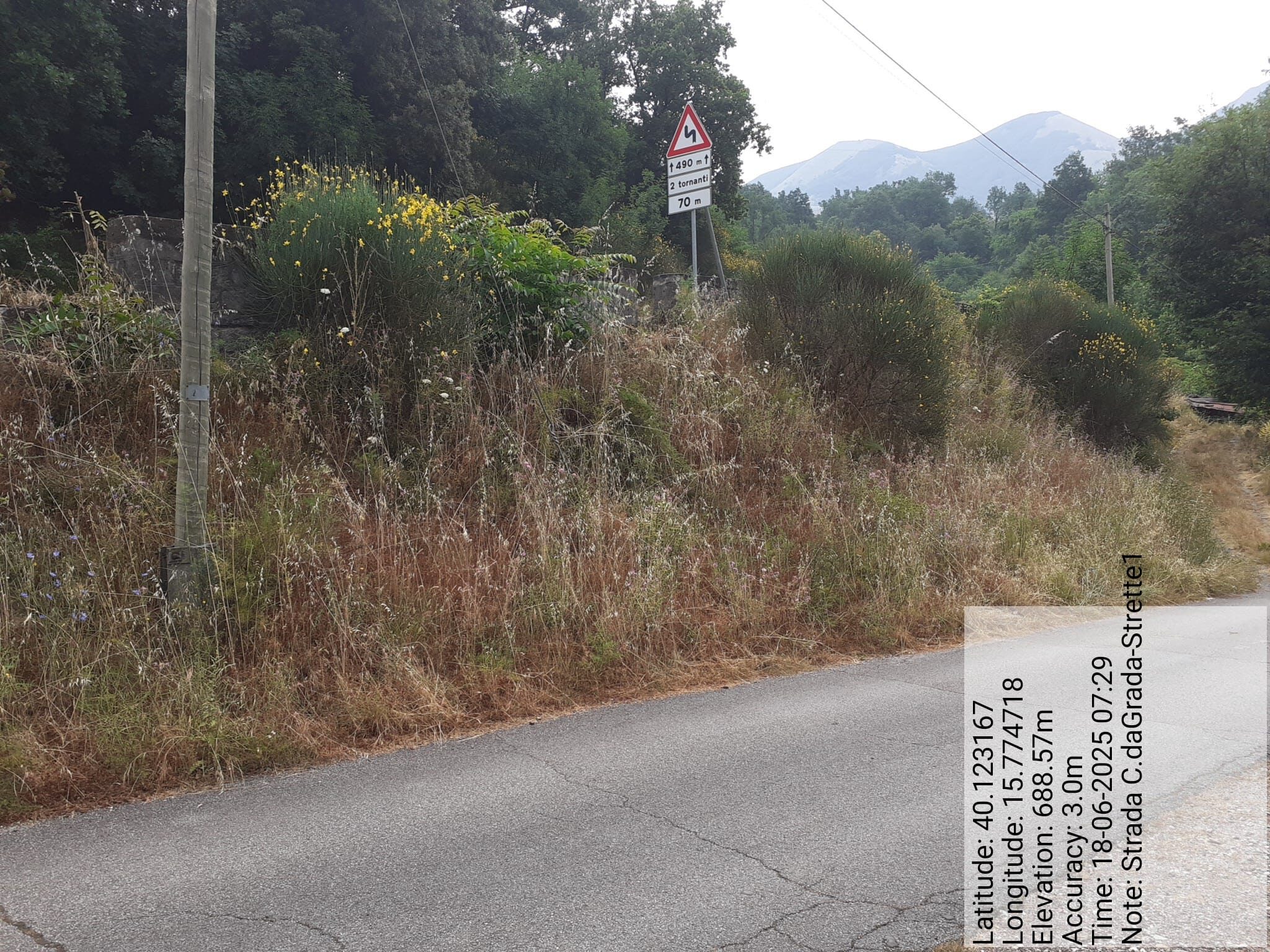 Galleria Fotografica Immagine