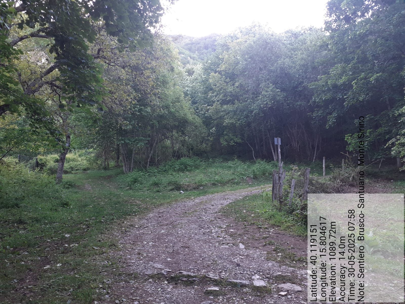 Galleria Fotografica Immagine