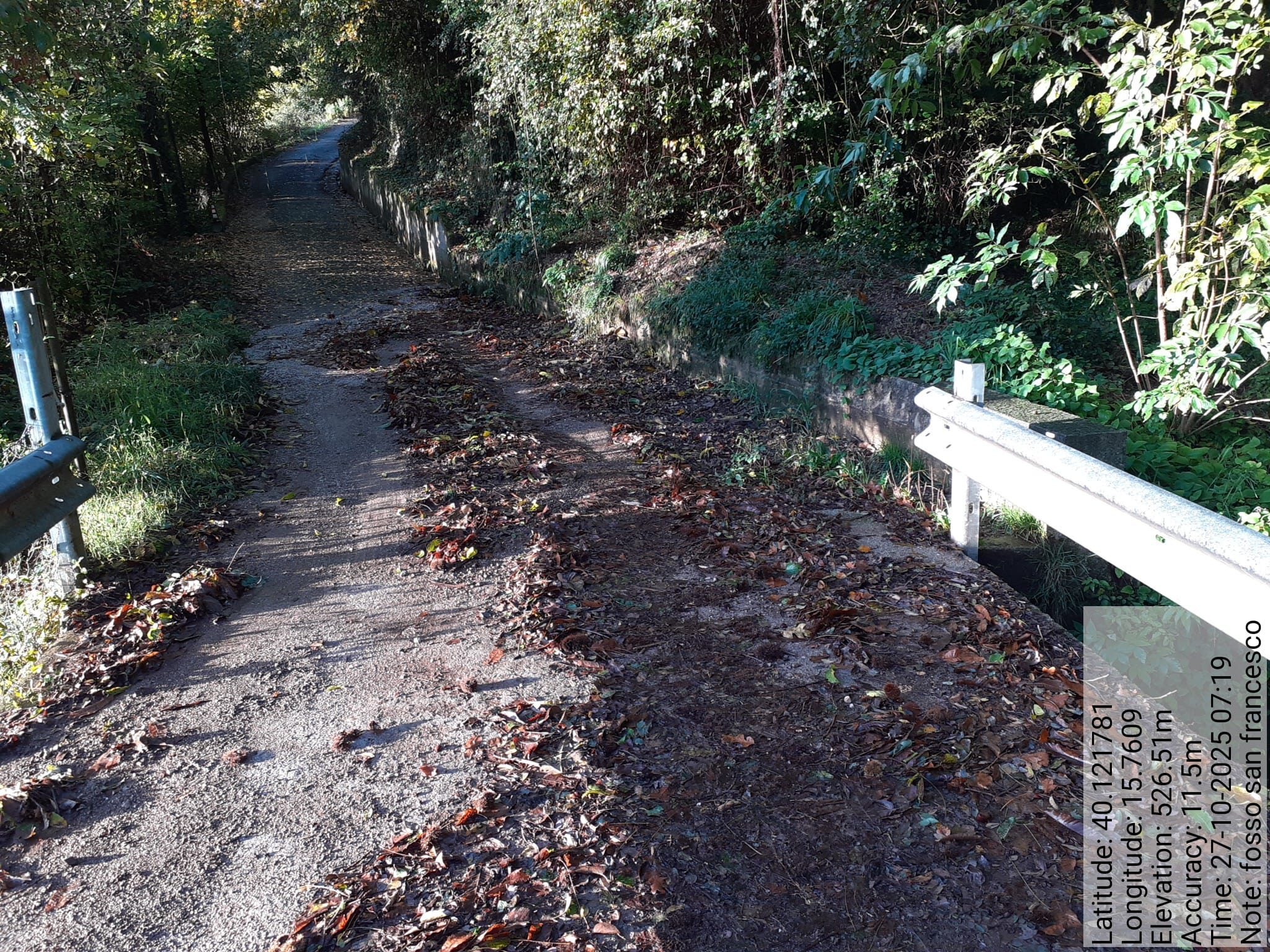 Galleria Fotografica Immagine