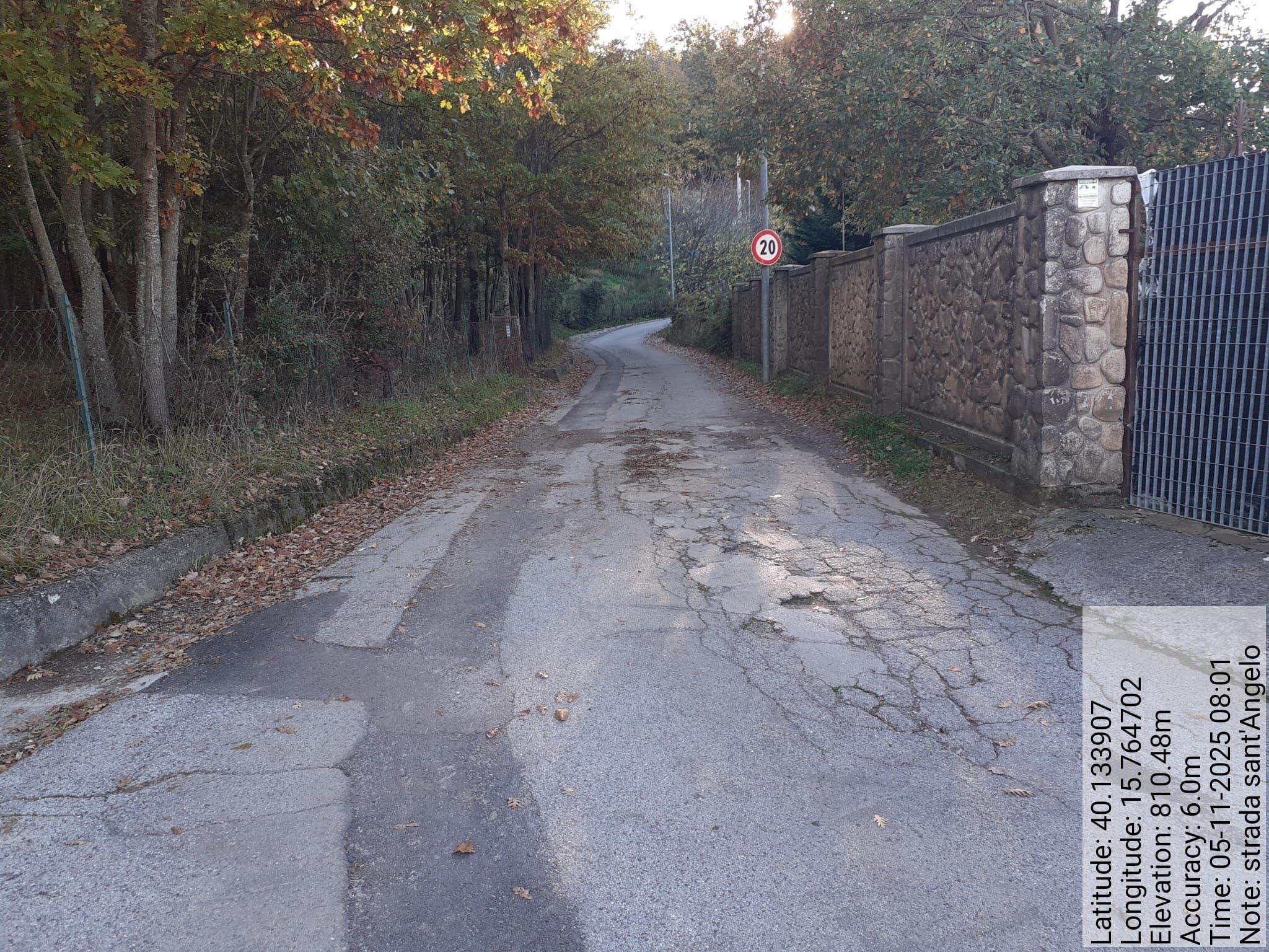 Galleria Fotografica Immagine