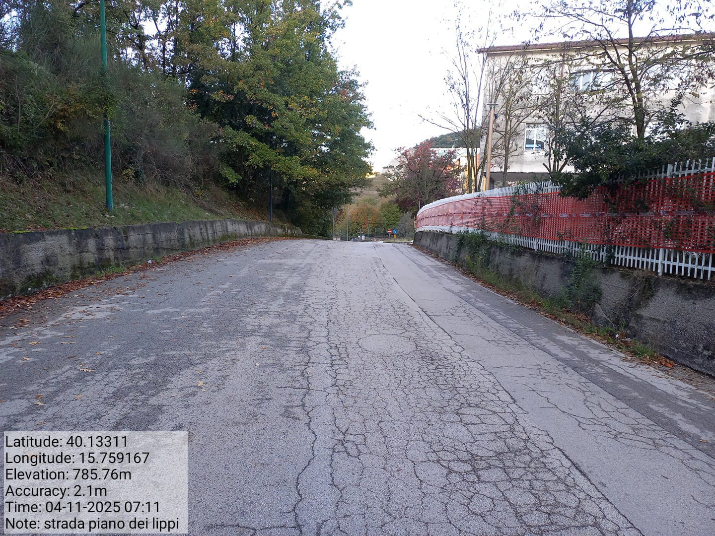 Galleria Fotografica Immagine