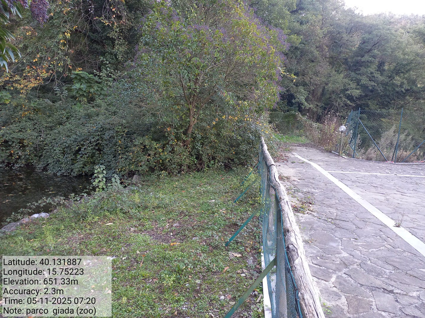 Galleria Fotografica Immagine