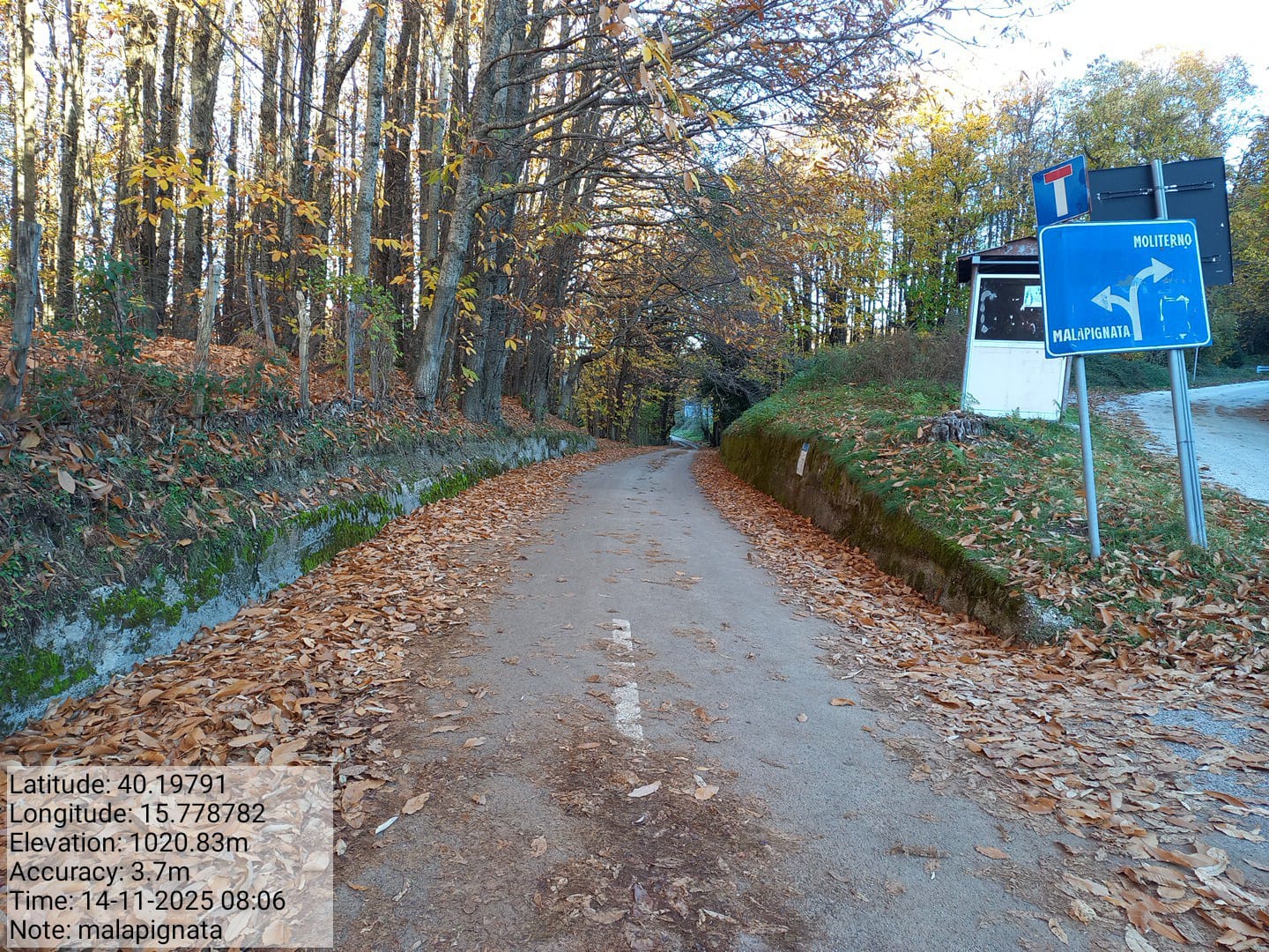 Galleria Fotografica Immagine