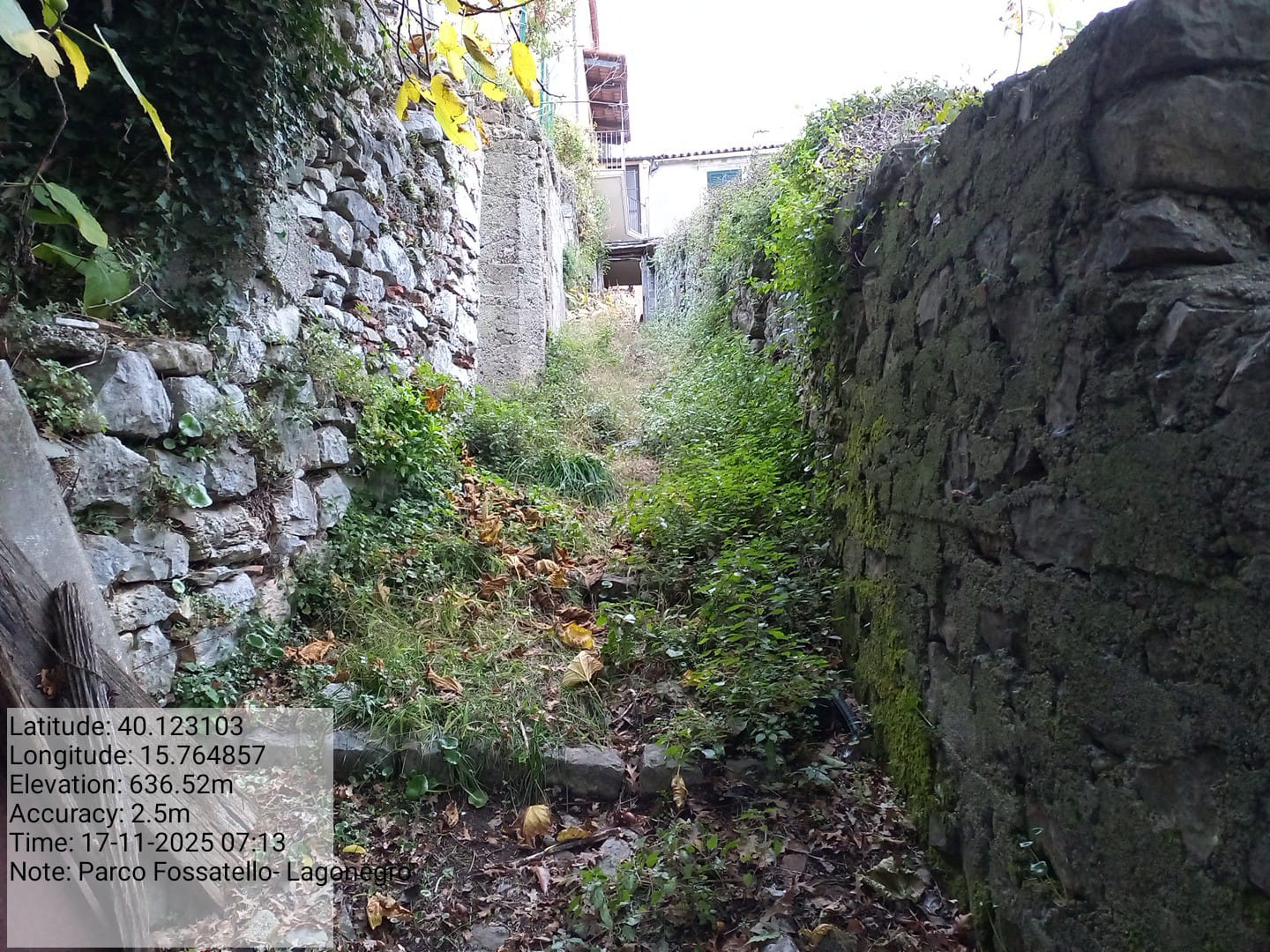 Galleria Fotografica Immagine