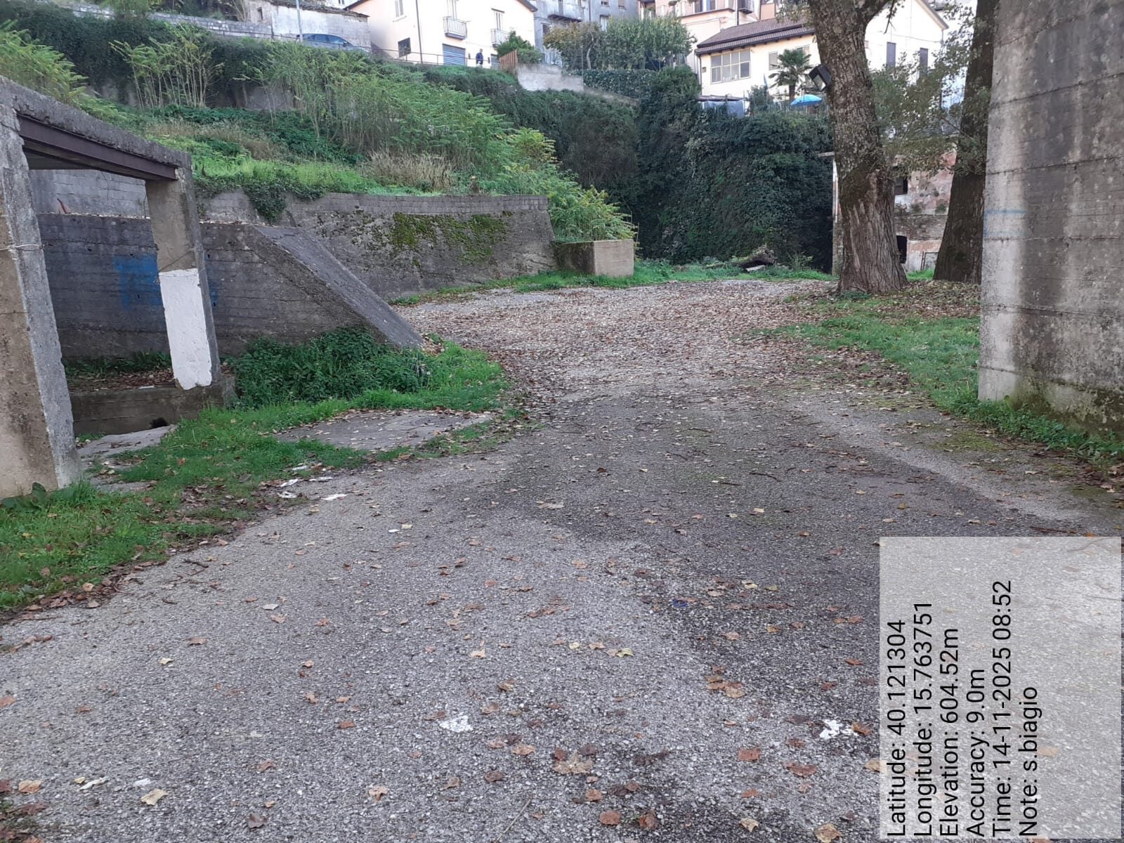 Galleria Fotografica Immagine